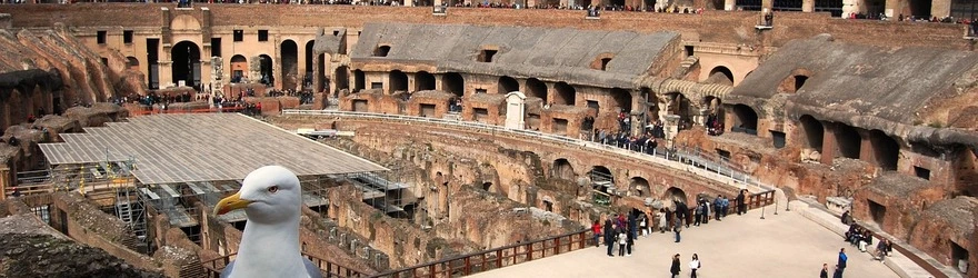 Fórum Romano e Coliseu