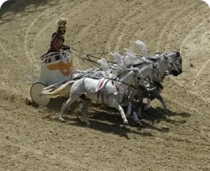 use transport in rome